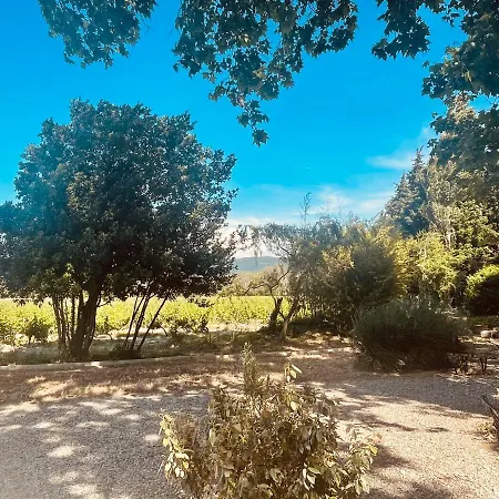 L'annexe Du Chateau Du Martinet * Violes